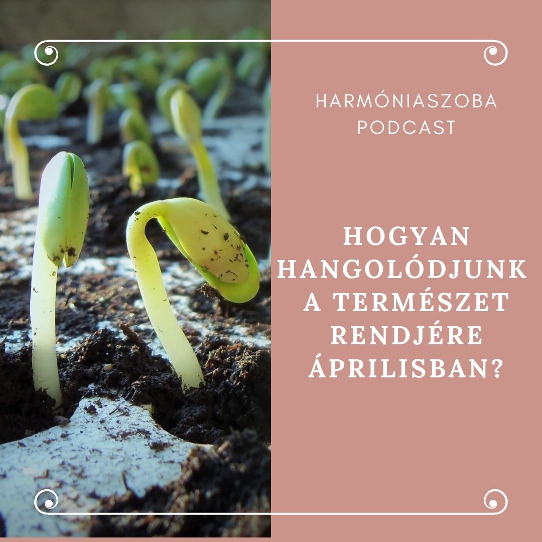 Tervezhető-e a Saját életstílusunk?